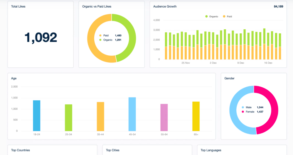 social media report